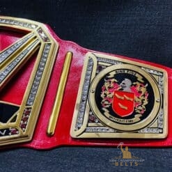 Universal Custom Title Belt side plates with personalized details.