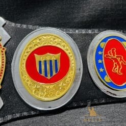 United States Heavyweight Belt Side Plates