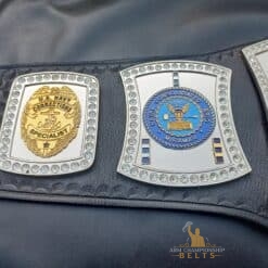 Capture the moment of award presentation featuring the Maintenance Spinner Belt, symbolizing recognition and excellence in hard work.