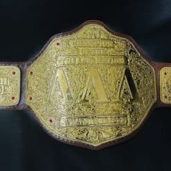 Customizable championship belt for corporate awards, perfect for employee recognition or brand milestones.