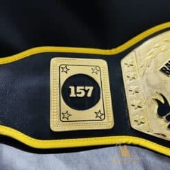 Unique custom wrestling belts designed for school wrestling teams and coaches