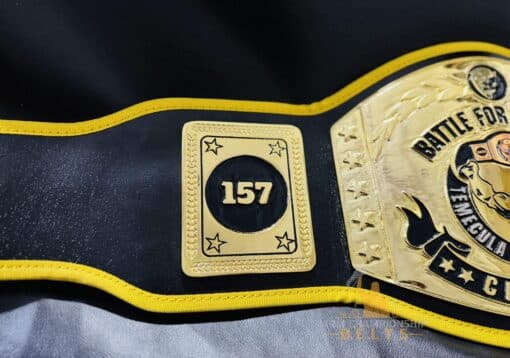 Unique custom wrestling belts designed for school wrestling teams and coaches