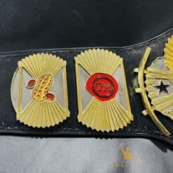 Custom Wrestling belt side left plates