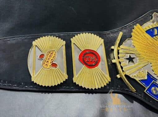 Custom Wrestling belt side left plates