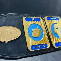 Left Side plates of Intercontitnental Oval Championship Belt