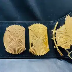 Right Side plates of winged eagle belt