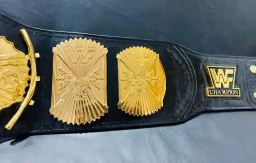 Left Side plates of winged eagle belt