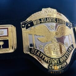 High-quality NWA replica wrestling belt featuring deep-etched gold and chrome plates.