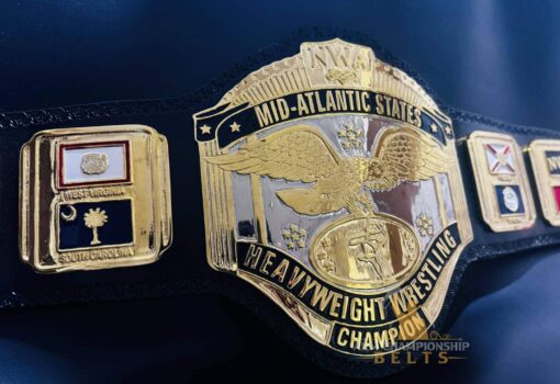 High-quality NWA replica wrestling belt featuring deep-etched gold and chrome plates.