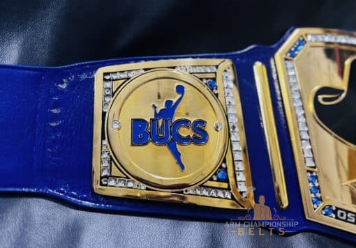 Close-up of the detailed gold-plated plates on the Oswego Girls Basketball Championship Belt, highlighting sharp HD engravings.