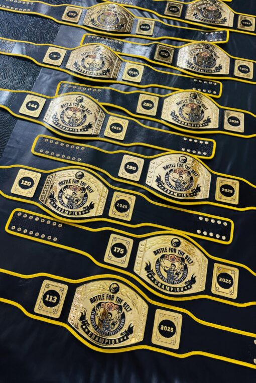 Wholesale Wrestling Belts for Clubs