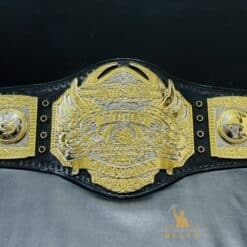 TNA World Heavyweight Championship Belt captured in natural light, showcasing its brilliant shine and design details.