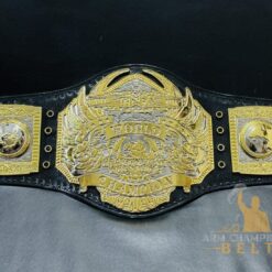 TNA World Heavyweight Championship Belt captured in natural light, showcasing its brilliant shine and design details.