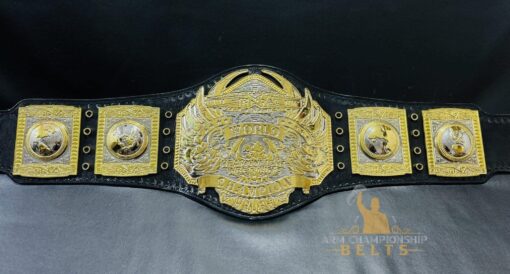 TNA World Heavyweight Championship Belt captured in natural light, showcasing its brilliant shine and design details.