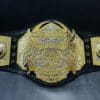 Front view of the TNA World Heavyweight Championship Belt, featuring deep etching plates and a genuine leather strap.