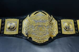 TNA World Heavyweight Championship Belt