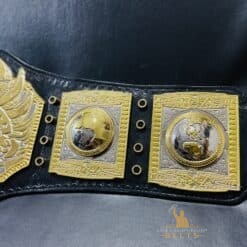 TNA Belts Side Plates View