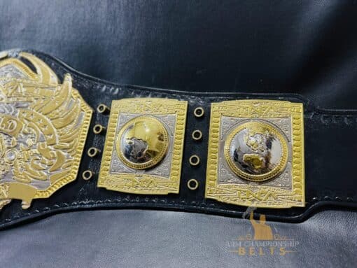 TNA Belts Side Plates View