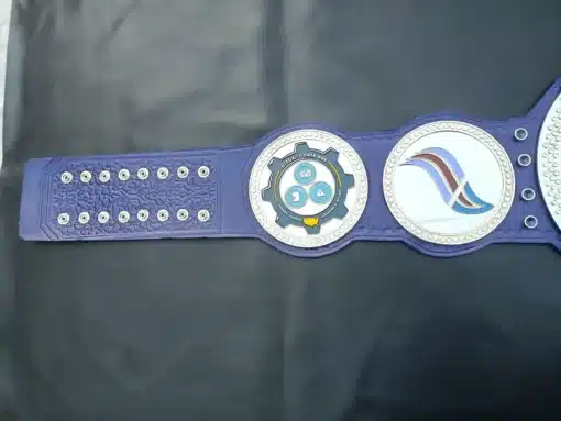 A championship belt tailored for celebrating corporate milestones and achievements.