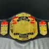 ECW Championship Belt featuring a customizable nameplate for personalization.