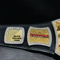 Shiny gold and chrome finish on the fully customizable championship belt.