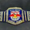 Custom championship belt inspired by WWE-style designs, perfect for events, awards, or sports themes.