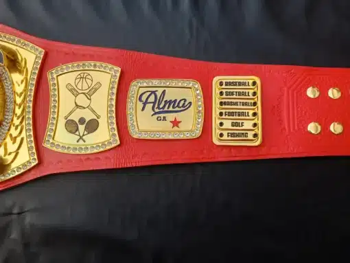 Innovative school award idea: a premium customizable championship belt for competitions and achievements.