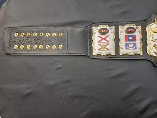 Wrestling championship belt showcasing international flags, perfect for global competitions and events.