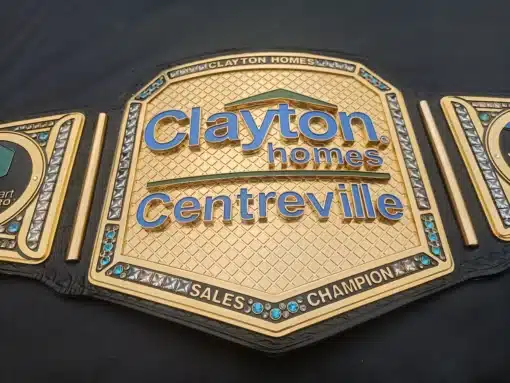 WWE Inspired Championship belt Customizable