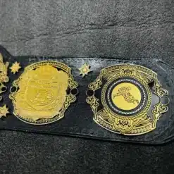 Detailed side plates of the replica Triple Crown Wrestling Championship Belt in gold plating.