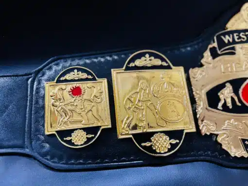 A close-up of the left-side plates, showcasing classic wrestling artwork and golden detailing.