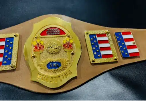 Detailed view of the gold-plated side plates with intricate patterns and textured surfaces on the NWA Georgia Television Championship Belt.