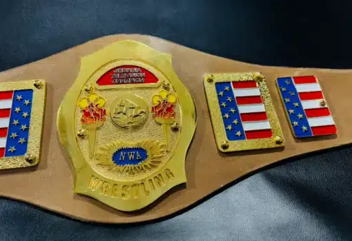 Side angle view of the NWA Georgia Television Championship Belt, highlighting the curvature of the plates and strap.