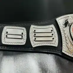 Removeable name plates of personalized award championship belt