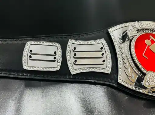 Removeable name plates of personalized award championship belt