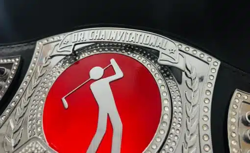 HD Engraved Premium Detailed award championship belt