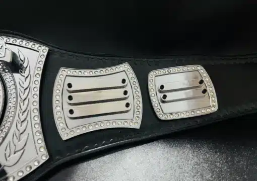 Replaceable name plates for personalize award championship belt