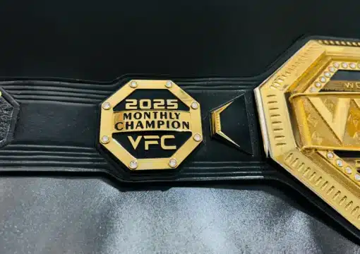 Fully customizable belt for recognizing employee excellence
