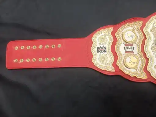 Deeply engraved 6mm gold plates on custom belt designed for cultural and community excellence awards