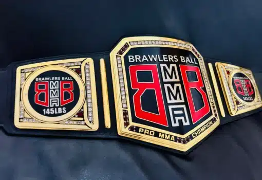 MMA championship belt with black leather and red details