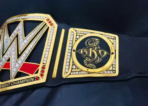 World Heavyweight fan belt featuring signature snake emblems and WWE rhinestone center logo
