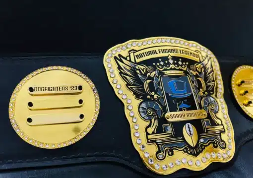 Fantasy football belt with customizable side plates for multiple season winners.
