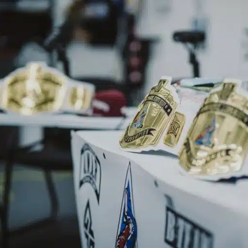 Martial arts world champion belts with real metal plates, personalized artwork, and premium leather.