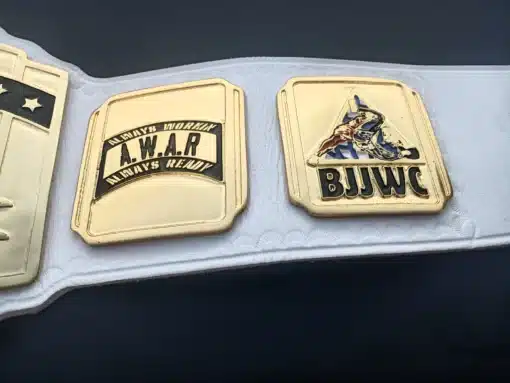Professional-quality championship belt for MMA and BJJ fight leagues with gold finish.