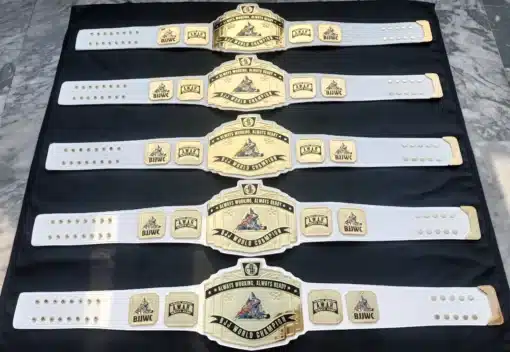 Fully customizable BJJ event belts with academy logos, text, and side plate designs