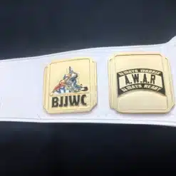 Gold-plated grappling competition belt with 4mm etched plates and real leather buckle strap.