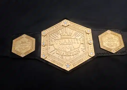 Fully customizable fight championship belt with division and logo options