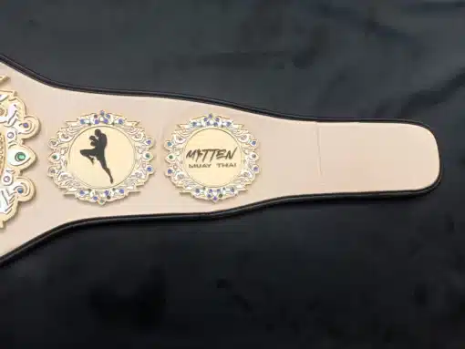 Backside of championship belt showing black leather and velcro fastening