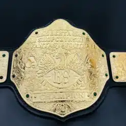 Custom fantasy football gold championship belt with personalized nameplates for 2025 winner