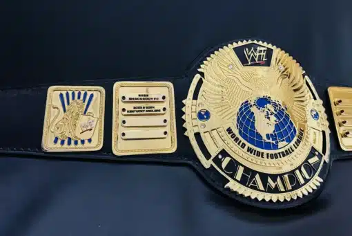Removable nameplates engraved with fantasy football champions on custom belt